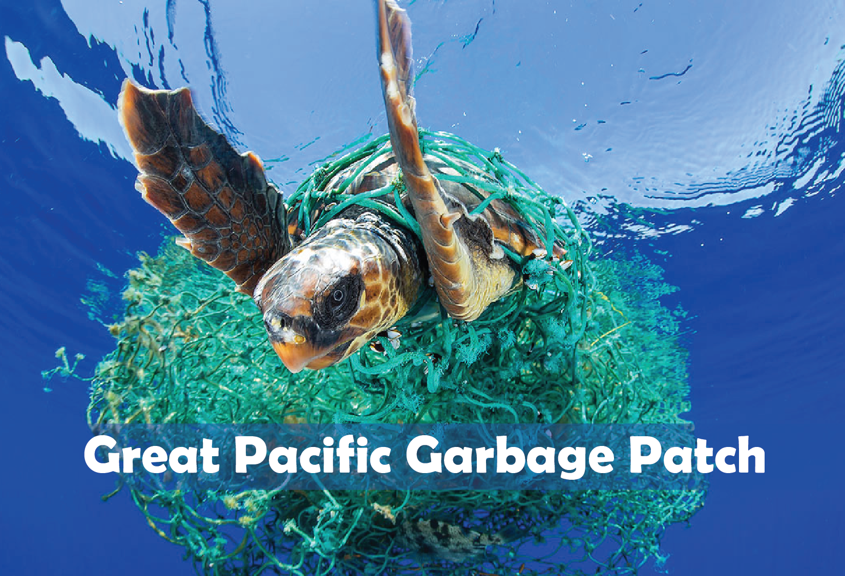 Great Pacific Garbage Patch