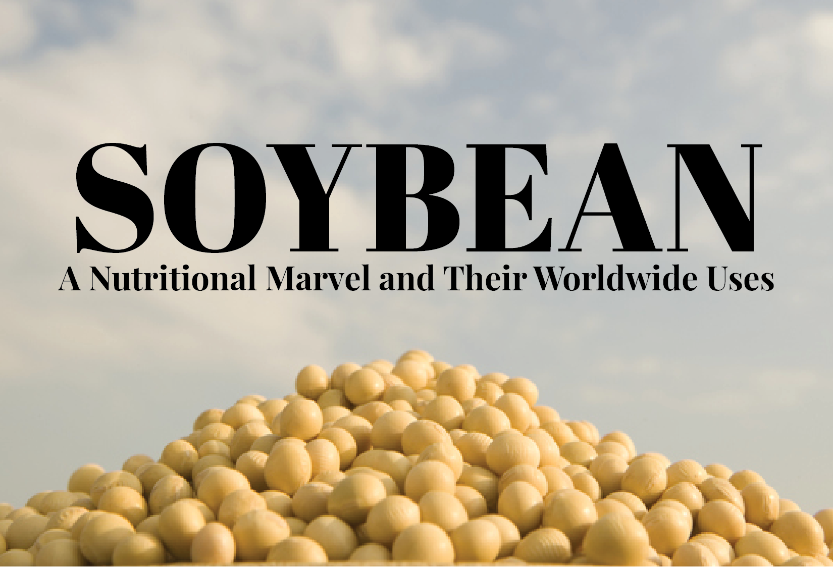 Soybeans: A Nutritional Marvel and Their Worldwide Uses