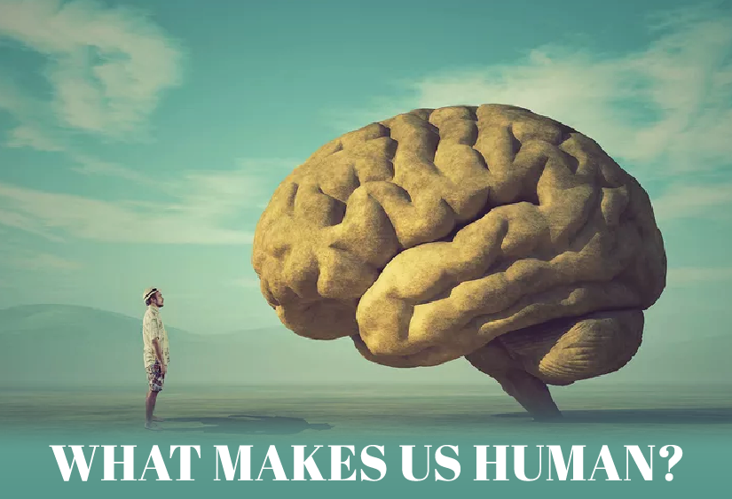 What Makes Us Human?