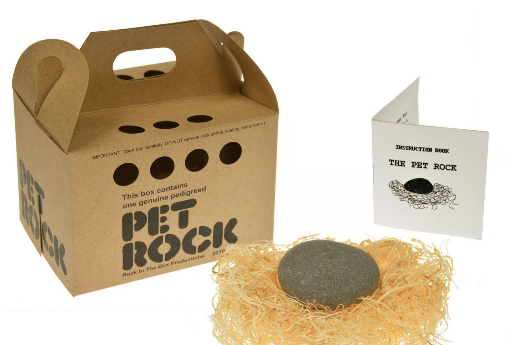 Crazy Million Dollar Idea : Pet Rocks