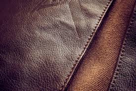 A Wake-Up Call: The Cruelty and Unsustainability of Leather Manufacturing