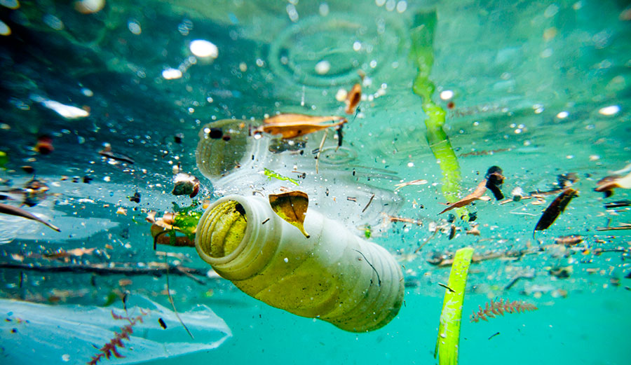 From Source to Sea: Tracing the Journey of Plastic Waste