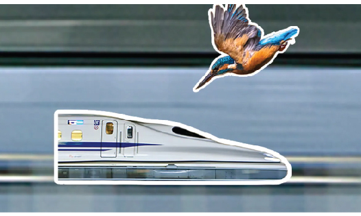 Nature's Whispers: How Kingfishers Inspired the Evolution of Bullet Trains