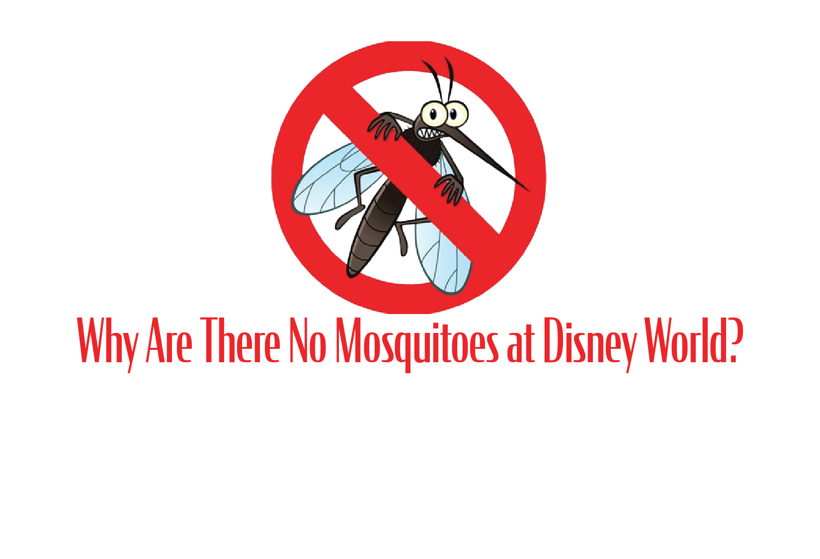 Why Are There No Mosquitoes at Disney World?